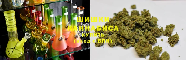 мяу мяу мука Коряжма