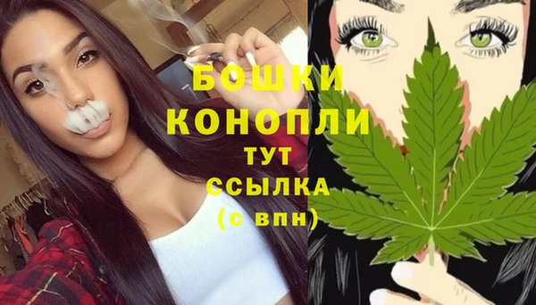 мяу мяу мука Коряжма