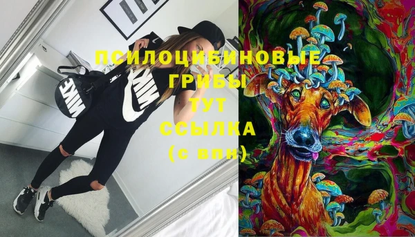 мяу мяу мука Коряжма