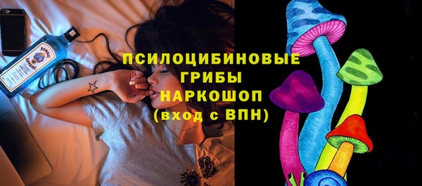 хмурый Кодинск