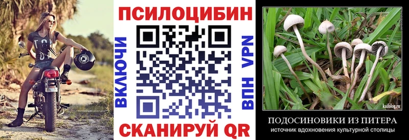 закладка  Медвежьегорск  OMG как войти  Псилоцибиновые грибы GOLDEN TEACHER 